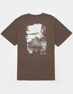 THE NORTH FACE Evolution Nature Mens Tee