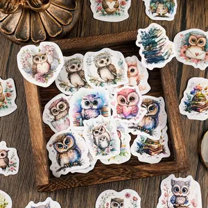 Cartoon Owl Pattern Sticker, 46pcs/bag Cute Self Adhesive Personalized Decorative Sticker, DIY Decals for Water Bottle Laptop Phone Case Scrapbooking Journal Making