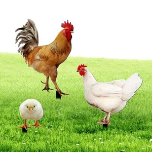 Chicken Yard Art Garden Decor Sculpture Statue Exquisite Yard Art Ornaments Standing Animal Lawn Stake For Patio Outdoor Home