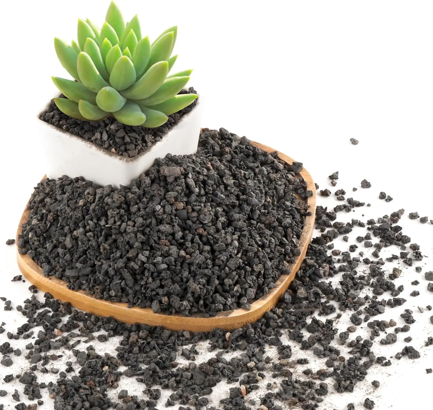 2.4LB Black Lava Rocks for , Volcanic Rock Horticultural Lava Rock Soil for Landscaping  Drainage, Small Lava Rock Gravel for , Bonsai, Vase Fillers, Top Dressing