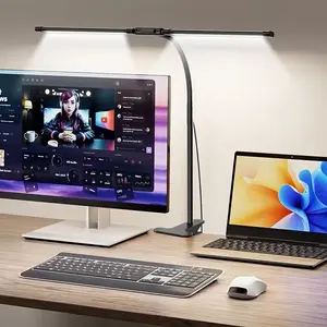 Adjustable Dual Head Clamp Desk Lamp, Adjustable Lighting, USB Powered, Flexible Design, Ideal for Reading and Learning, Perfect for Workspaces and Home Use