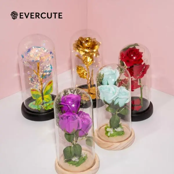 Evercute Beauty and the Beast Glass Dome Artificial Flower – LED Rose & Butterfly. Luxury Home Desk/Shelf Decor. Birthday & Anniversary Gift. TikTok Viral, Instagram Prop. For Valentine's, Christmas, Mother's Day. Led Light Led Light Kit