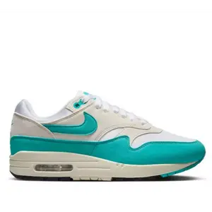 Nike Air Max 1 Dusty Cactus DZ2628-107 Womens Fashion Shoes New