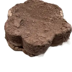 Barrolga Blanca flor . Clay and white caolin . Made in Mexico