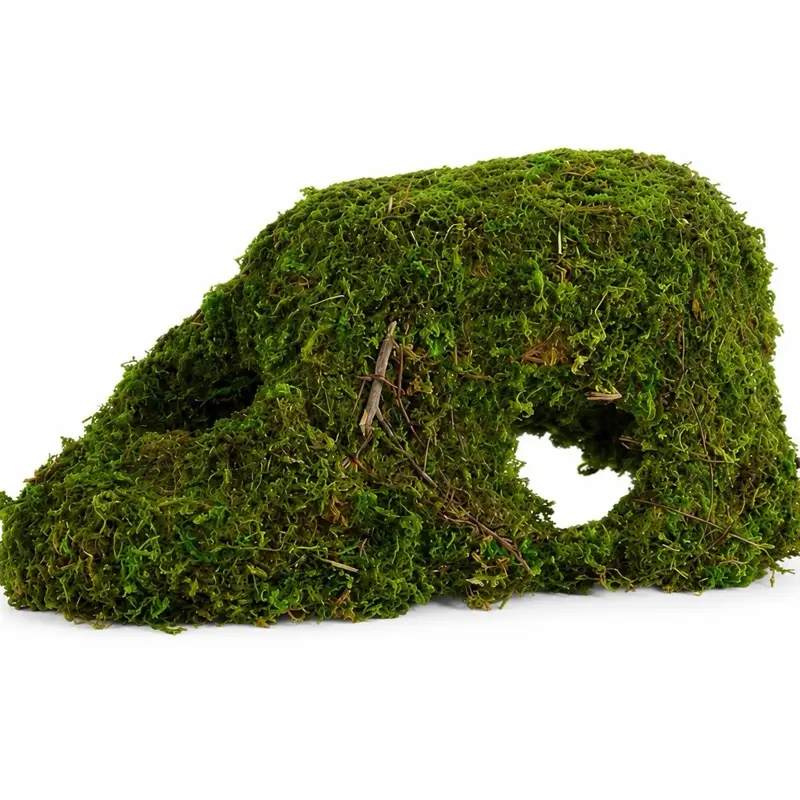 Premium Reptile Humid Hide, Reptile & Amphibian Terrarium Hideout Accessory