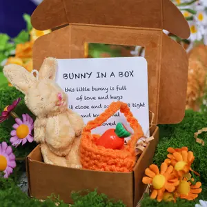 Mini Plush Rabbit Gift Box with Inspirational Card, Easter Christmas Valentine's Day Mother's Day Present, Unisex Pocket Bunny, Themed Gift Box, Beautiful Gift Box