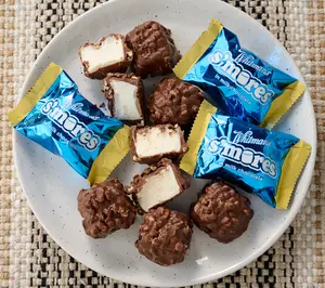 Whitman's 50pc Individually Wrapped Chocolate S'mores