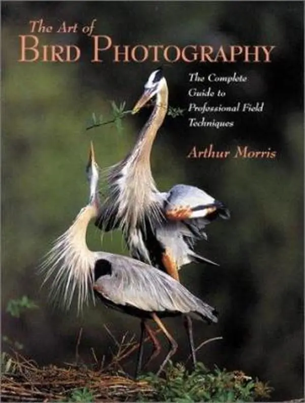 Used Photography Book - Art of Bird Photography: The Complete Guide to Professional Field Techniques by Arthur Morris (Paperback, English) - Wildlife Resource for All Levels of Photographer, Bird-Watching Spots Insights, Amphoto Books Category, Photograph