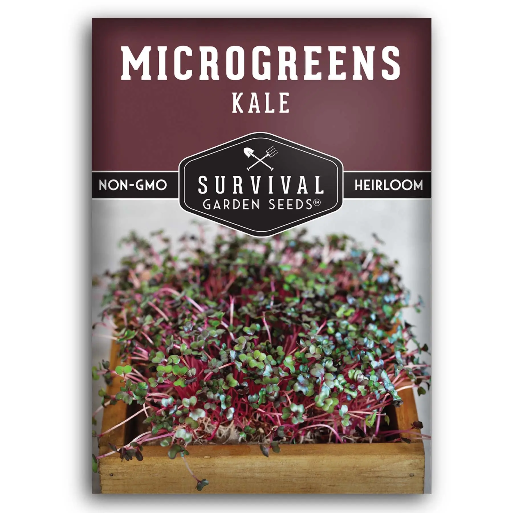 Kale Microgreen Seeds - Grow Healthy Greens at Home Kale Microgreen Seeds - Grow Healthy Greens at Home