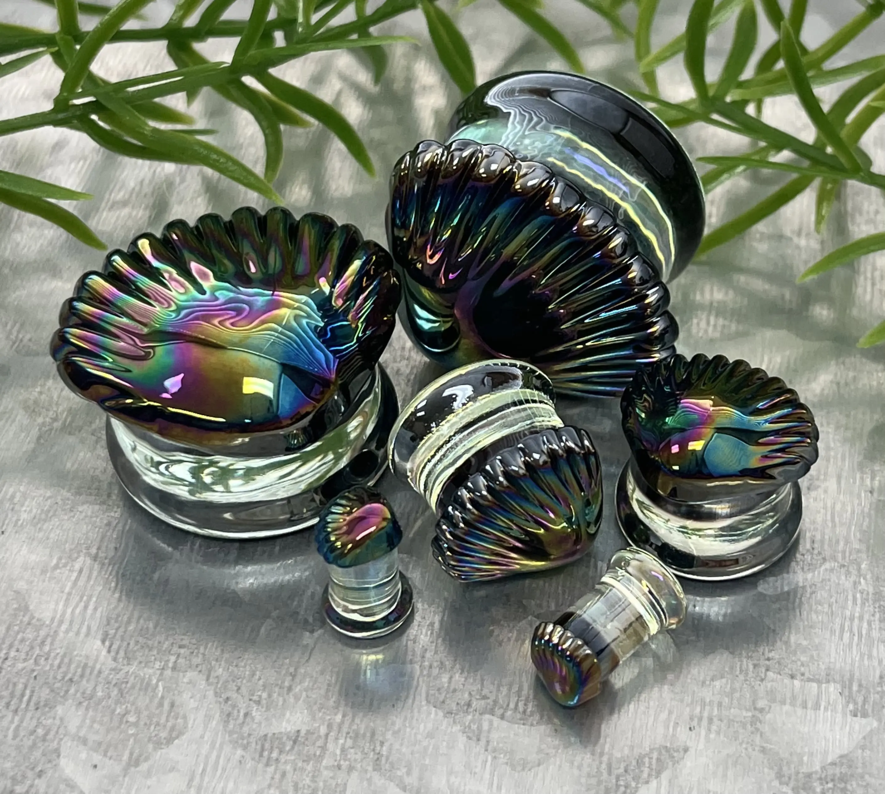 PAIR of Stunning Black Pearl Seashell Glass Double Flare Tunnels Plugs