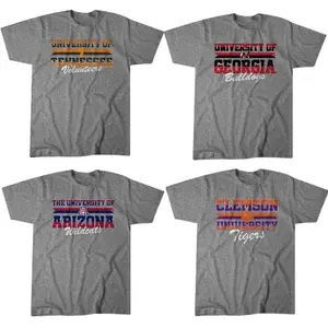 Vintage College Sports Graphic T-Shirt Grey, Retro Campus Style Fan Tee, Classic Athletic University Inspired Shirt, Unisex Casual Streetwear Gift