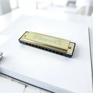 Blue Harmonica, 10 Hole C Key Melodic Harp, Beginner Friendly, Easy to Play for Beginners, Includes Storage Box, Ideal Musical Instrument for Music Lovers