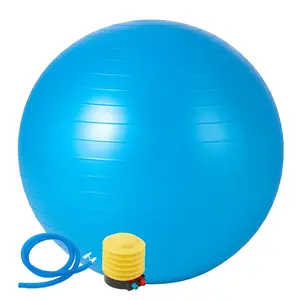 75cm fitness ball, Gym Ball for yoga, pilates and balance training, non-slip, with quick foot pump