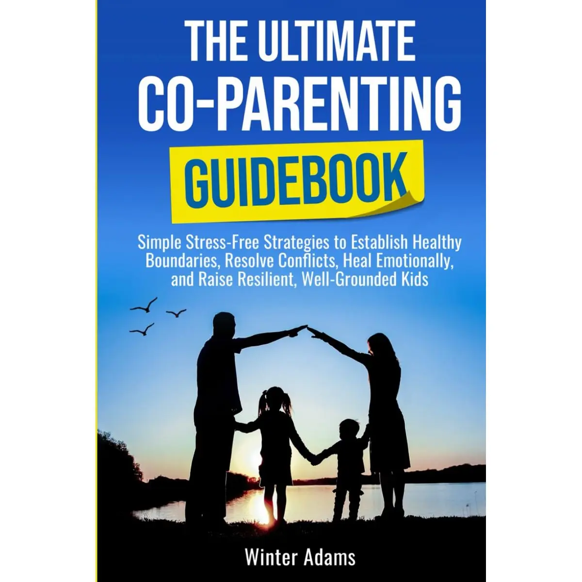 THE ULTIMATE CO PARENTING GUIDEBOOK: SIMPLE STRESS-FREE STRATEGIES TO ESTABLISH HEALTHY BOUNDARIES, RESOLVE CONFLICTS, HEAL EMOTIONALLY, AND RAISE RESILIENT, WELL-GROUNDED KIDS Hardcover – April 30, 2025