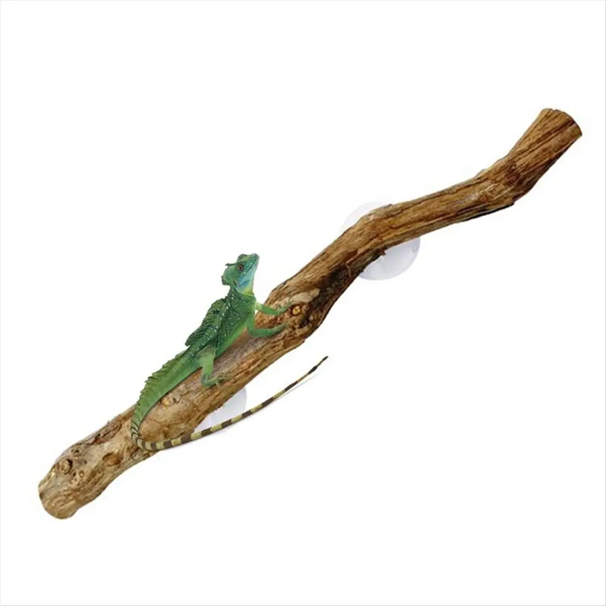 Natural Non-Slip Sturdy Grapewood Reptile Climbing Branches - Easy-Install Glass Tank Fit Car Exterior Decor, Promotes Natural Behavior & Hiding for Bearded Dragons, None As Shown