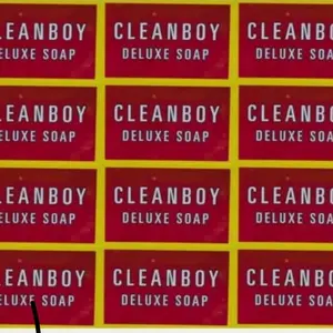 Cleanboy Deluxe Soap Pack of 3 or 6 - Premium Quality Soap for Daily Use