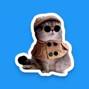 Funny Cat Vinyl Stickers - Perfect for Laptop or Water Bottle