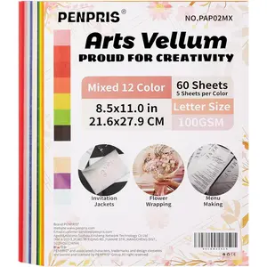 60 Sheets Colorful Vellum Paper Translucent Tracing Paper - 12 Colors 8.5 x 11in 100GSM Printable Art Paper for DIY Invitations Greeting Cards Birthday Party Decor Gift Wrapping PAP02MX