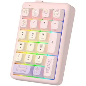 NumberPad,21Keys HotSwappable Numpad,Bluetooth5.0/2.4G/Type-C Wireless Numeric Keypad,Rechargeable Number keypad,RGB Gasket Structure Mechanical Keyboard with PBT Keycap for PC Laptop Notebook