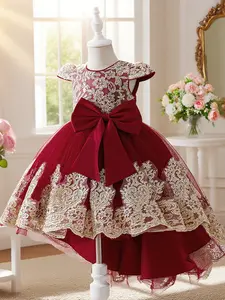 Champagne color dress with floral embroidery train design elegant and beautiful Tulle Overlay dress suitable for girls birthday party anniversary and prom