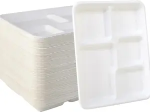 Time To go Eco 500 pack 5 Compartment Plates, 100% Compostable School Meal Tray Disposable