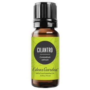 Cilantro Essential Oil
