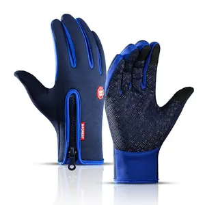 Winter Warm Ski Gloves