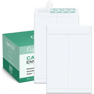 Catalog Envelopes 6x9 Small White Self Seal Envelopes 250 Pack for Mailing Organizing Storage
