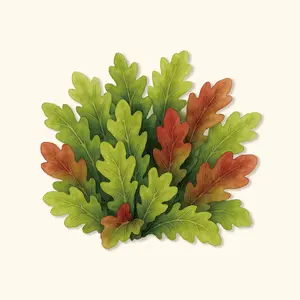 Vego Garden Organic Salad Bowl Blend Lettuce  Seeds