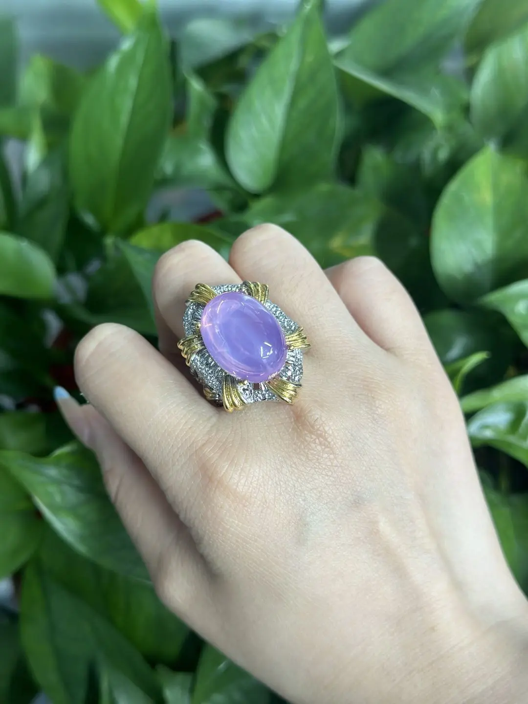 Rose(14447)gc.Purple star ruby
