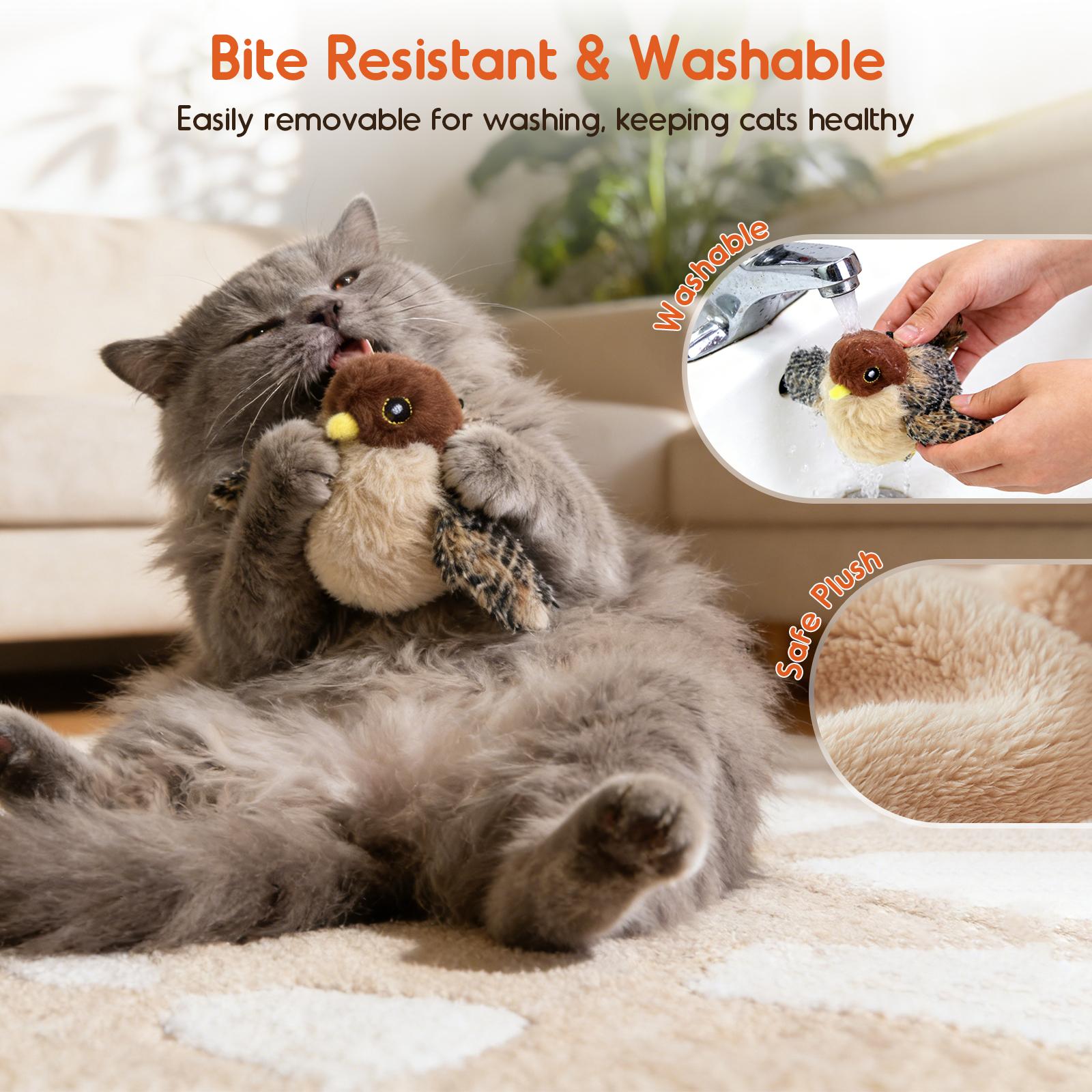 Flying Bird Cat Toy with Realistic Bird Sounds—a rechargeable, touch-activated interactive toy for kittens. This hanging cat toy is an interactive exercise toy suitable for cats of all breeds