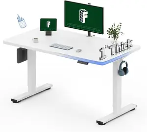 48"X24" One-Piece Electric Standing Desk, 1" Thick Seamless Desktop for Home Office, Study & Multi-Monitor Setup, White