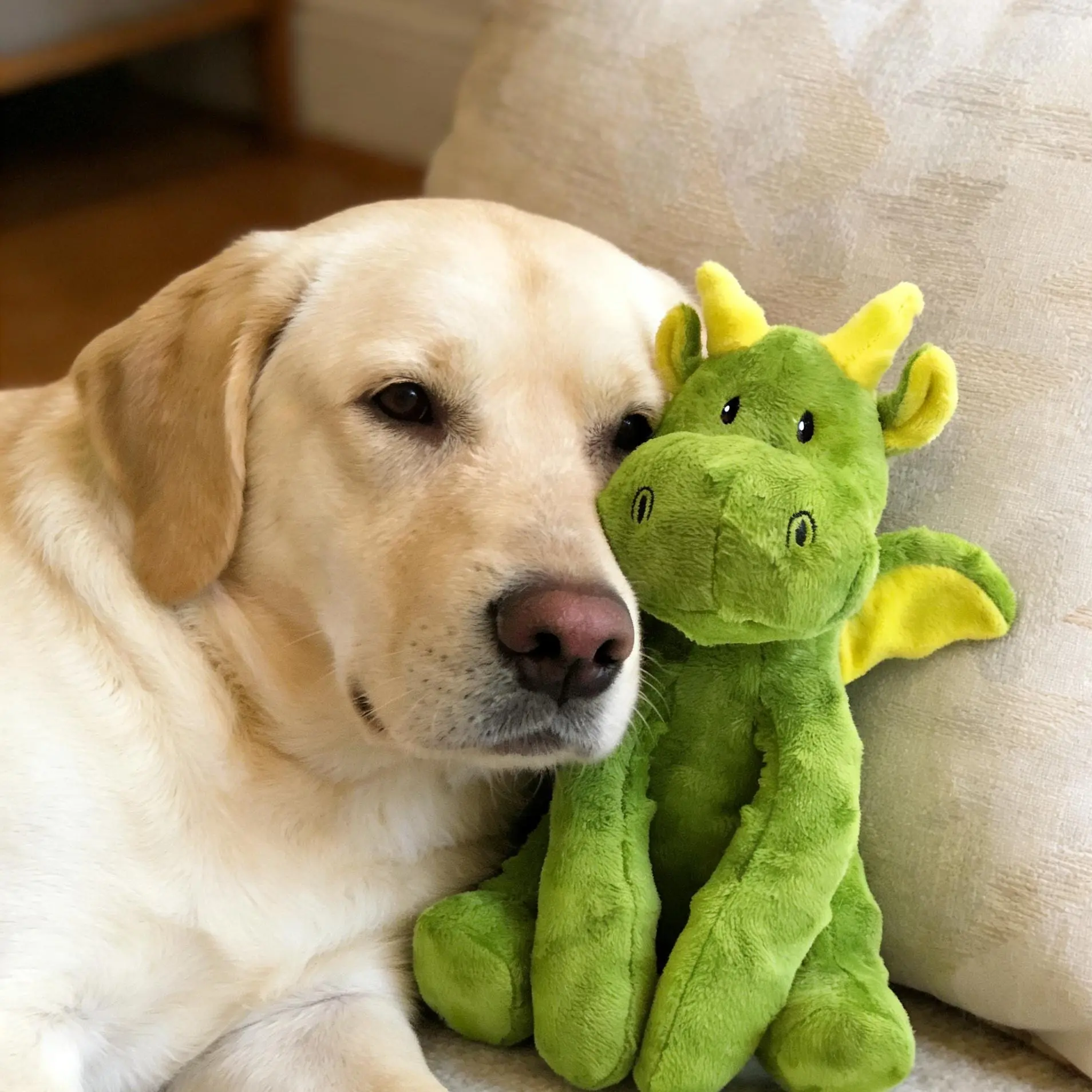 Durable Chew Squeak Dog Toys - Non-Toxic, Rawhide-Free, Soft Sound-Producing Chews Squeak Toys for Medium and Large Dog Breeds