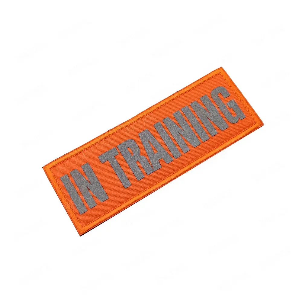 19 Reflective 11X4CM