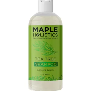 Maple Holistics Tea Tree Shampoo Anti-Dandruff Cleansing Haircare Conditioner Hydrating Clarifying Men Women All Hair Types Tea Tree Essential Oil
