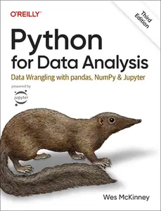 Python for Data Analysis: Data Wrangling with Pandas, Numpy, and Jupyter -- Wes McKinney, Paperback