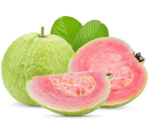 Pink Guava Fruit Tree Sweet Guava Plant Tropical Fruit Tree 5 to 7 Inch Tall