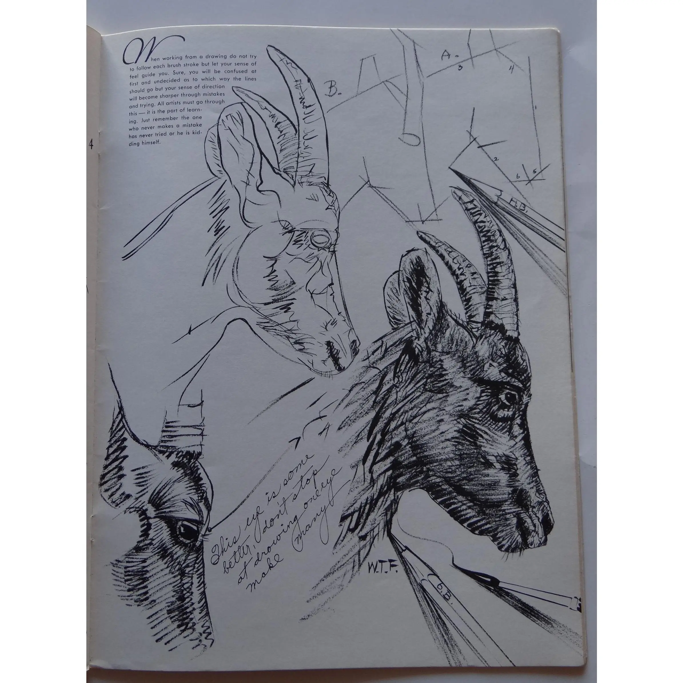 HOW TO DRAW (New Edition): Butterflies, Flowers, Trees, Shrubs, Boats, Animals, Birds, Landscapes, Still-life, Heads, Hands, Lettering (Walter Foster's How to Draw Books, 2)