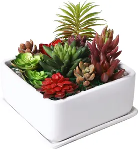Modern 7 inch Square White Ceramic Succulent Planter Pot with Drainage Tray, Window Box & Saucer