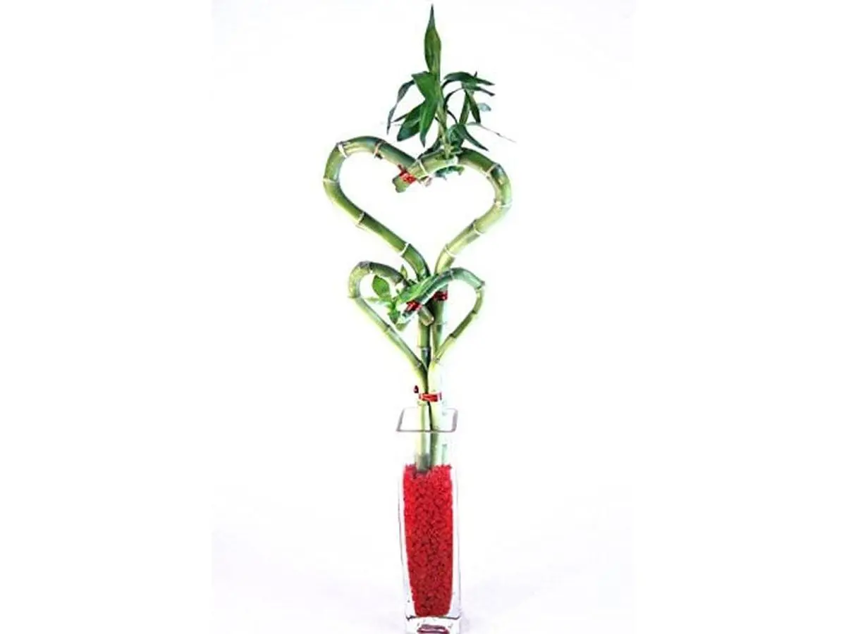 Double Heart Bamboo-Glass Block Decorative Sculpture Bud Vase, Home Decor Accent for Tabletop Display