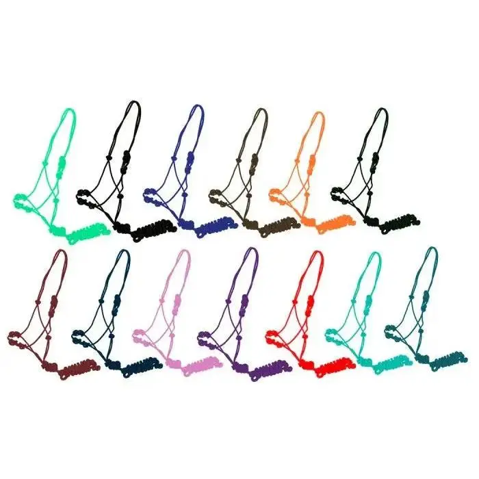 Training cowboy knot rope halter with four knot pressure points and lead