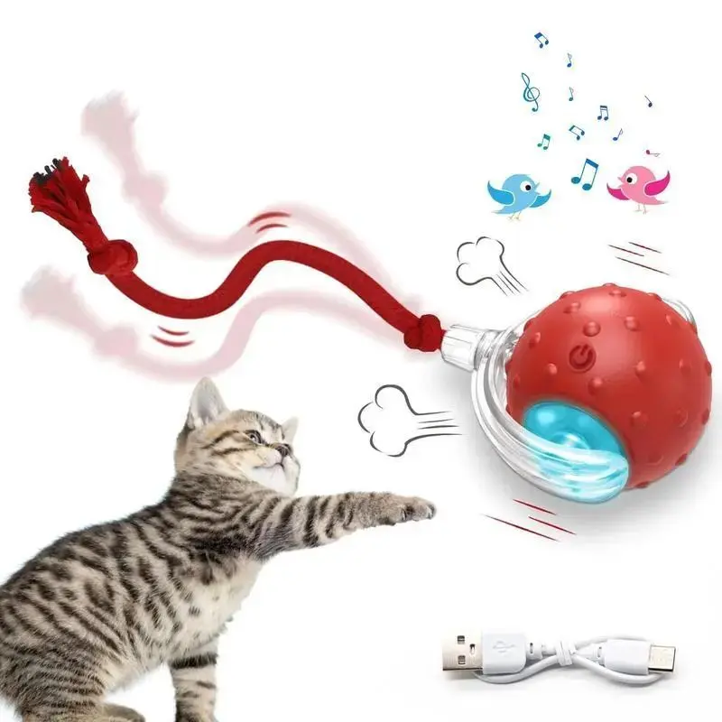 Rolling Interactive Pet Ball Toy with Extra Replacement Tails, Dual-use Teaser Toy for Cats & Small Dogs