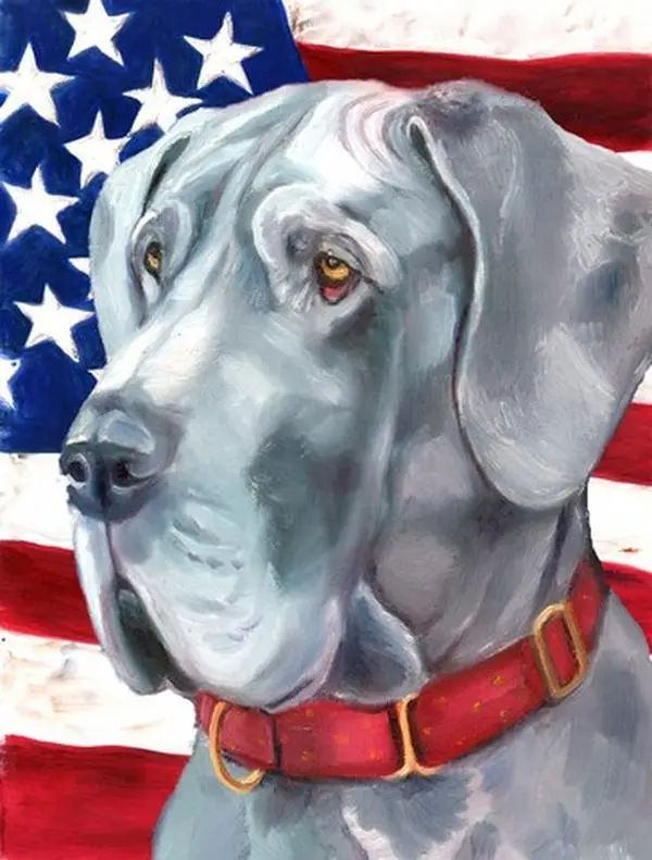 212 MAIN Great Dane American Flag - Double-Sided, Weatherproof Outdoor Decor, Boating Accessory, Patriotic, Garden Accessories, Decorative Garden, Polyester, Fade-Resistant, Rectangular, Boat Accessories