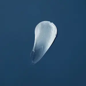 verb Bonding Shampoo 250ml