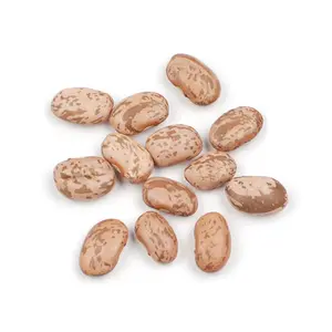 212 MAIN Pinto Beans, 25 lb Box - High Protein, Fiber-Rich, Vitamin-Packed, Iron-Containing Pantry Staple for Kitchen Use