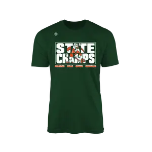 Miami Hurricanes Men's State Champs Graphic Casual Short-Sleeve Round-Neck Cotton Tee, Menswear Top