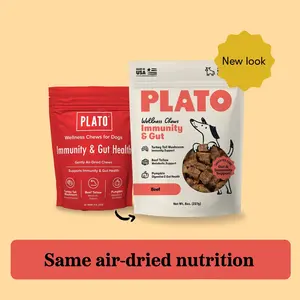 Plato Air-Dried Wellness Chew Treats for Dogs - Immunity Support, Gut Health Support, Made with Turkey Tail Mushroom, Pumpkin, and Beef Tallow Supplies