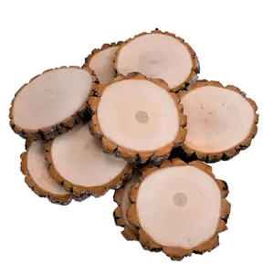 Premium Wood Slices 10 pack