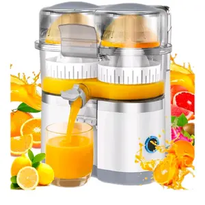 Electric Juicer