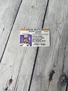 Sandy Cheeks credit card skin cover sticker decal